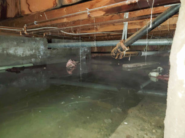 Best 24-hour water damage restoration  in Lake Station, IN