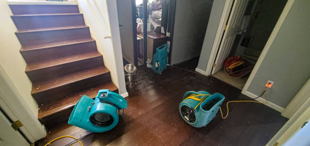 Best Water damage mitigation services  in Lake Station, IN