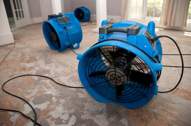 Best 24/7 water damage repair  in Lake Station, IN