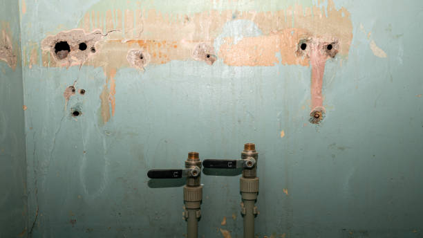 Best Residential water damage restoration  in Lake Station, IN