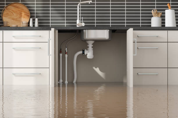 Best Emergency water damage restoration  in Lake Station, IN