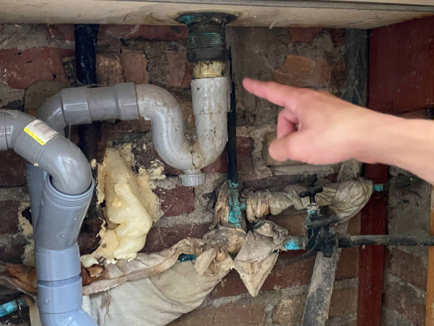 Best Local water damage restoration  in Lake Station, IN