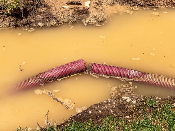 Best 24-hour water damage restoration  in Lake Station, IN