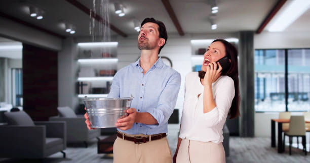 Best Professional water damage repair  in Lake Station, IN