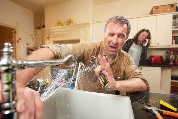 Best Water damage restoration mold remediation  in Lake Station, IN